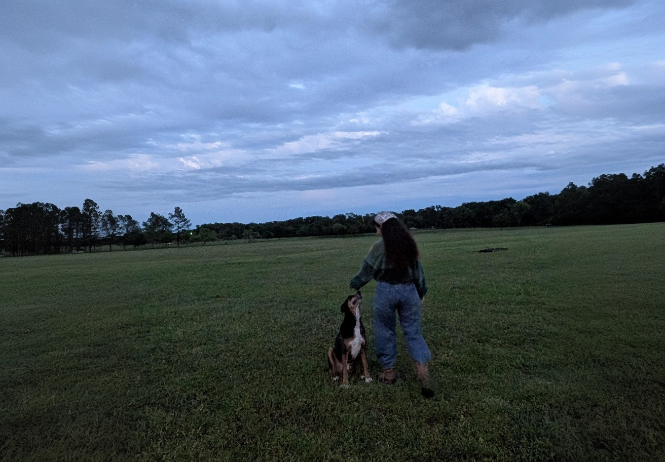 Person walking with dog in expansive field under dramatic evening sky
